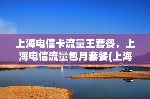 上海电信卡流量王套餐，上海电信流量包月套餐(上海电信流量套餐介绍)