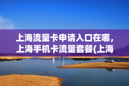 上海流量卡申请入口在哪，上海手机卡流量套餐(上海用什么手机卡流量套餐)