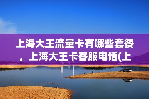 上海大王流量卡有哪些套餐，上海大王卡客服电话(上海的大王卡在外地可以补办吗)