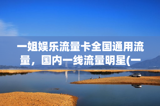 一姐娱乐流量卡全国通用流量，国内一线流量明星(一线流量明星排行榜)