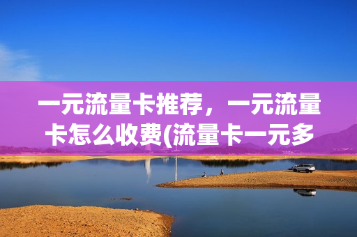 一元流量卡推荐，一元流量卡怎么收费(流量卡一元多少流量)