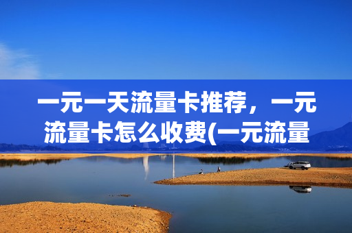 一元一天流量卡推荐，一元流量卡怎么收费(一元流量卡的要死)