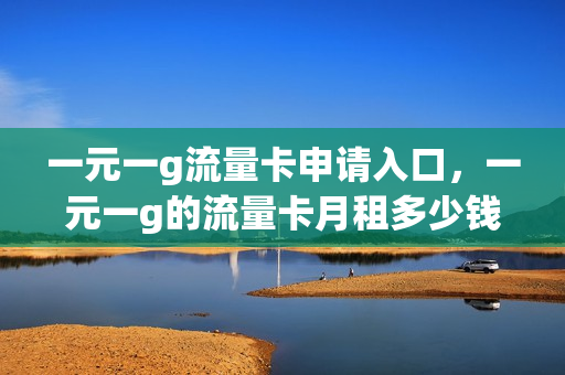 一元一g流量卡申请入口，一元一g的流量卡月租多少钱(1元1g流量卡)