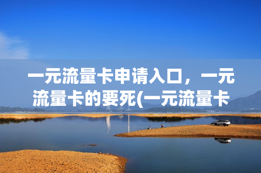 一元流量卡申请入口，一元流量卡的要死(一元流量卡是什么意思)