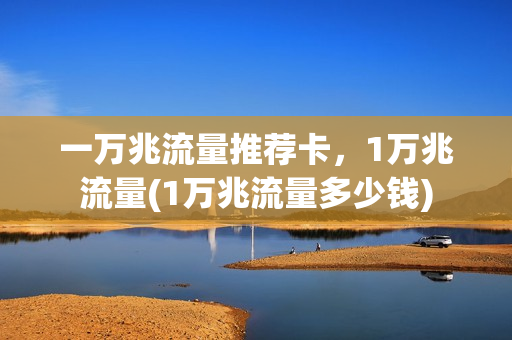 一万兆流量推荐卡，1万兆流量(1万兆流量多少钱)