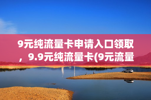 9元纯流量卡申请入口领取，9.9元纯流量卡(9元流量卡免费领取)