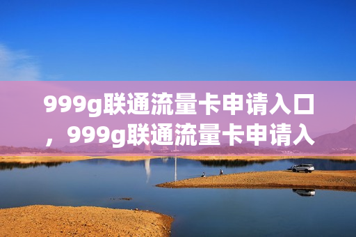 999g联通流量卡申请入口，999g联通流量卡申请入口在哪(联通999g流量卡免费领取)