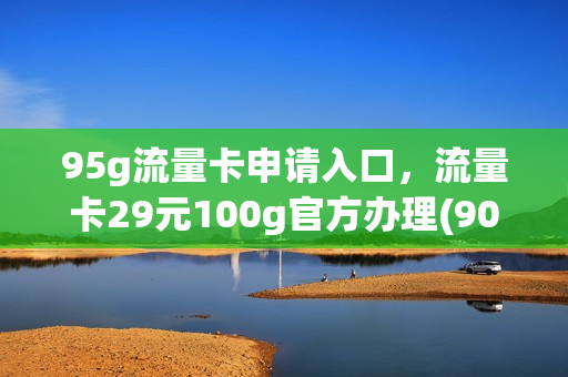 95g流量卡申请入口，流量卡29元100g官方办理(900g流量卡在线申请)