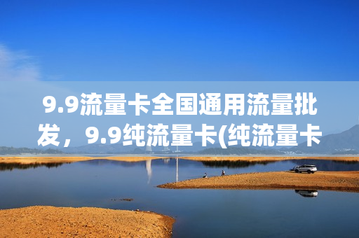 9.9流量卡全国通用流量批发，9.9纯流量卡(纯流量卡免费领取9.9包100g流量申请)