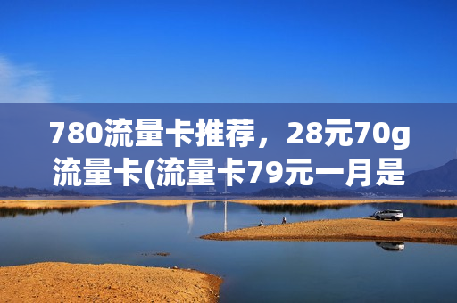 780流量卡推荐，28元70g流量卡(流量卡79元一月是怎么回事)