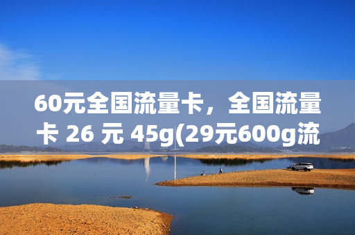 60元全国流量卡，全国流量卡 26 元 45g(29元600g流量卡)