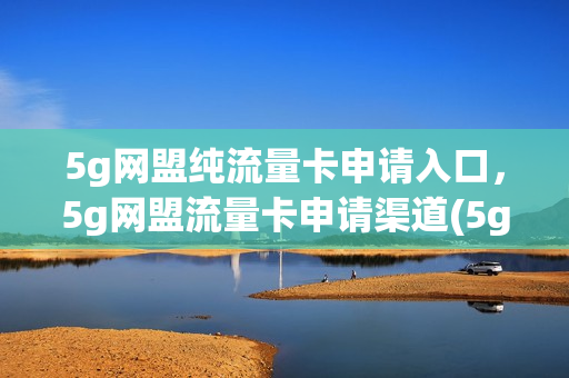 5g网盟纯流量卡申请入口，5g网盟流量卡申请渠道(5g网盟的流量卡可靠吗)
