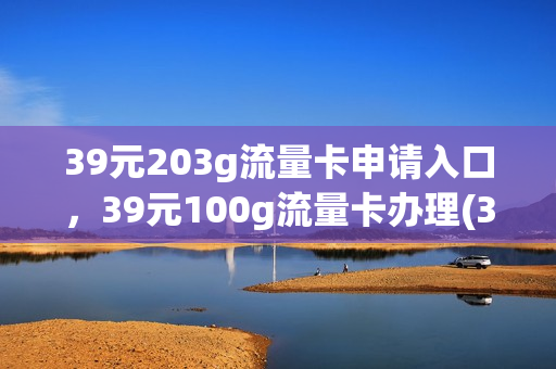 39元203g流量卡申请入口，39元100g流量卡办理(39.9流量卡)