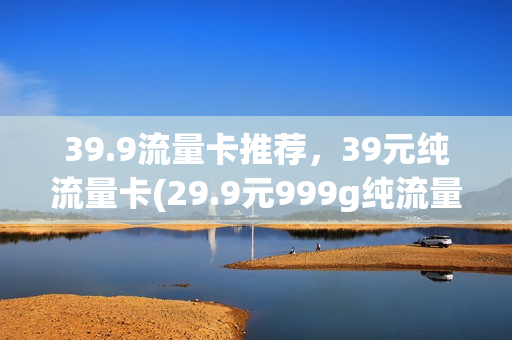 39.9流量卡推荐，39元纯流量卡(29.9元999g纯流量卡)