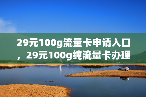 29元100g流量卡申请入口，29元100g纯流量卡办理(29元100g流量卡如何使用)