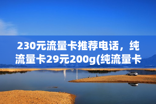 230元流量卡推荐电话，纯流量卡29元200g(纯流量卡29元100g到底是不是真的)