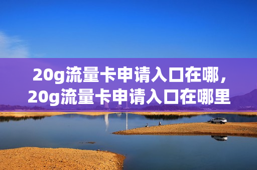 20g流量卡申请入口在哪，20g流量卡申请入口在哪里找(流量卡20元)