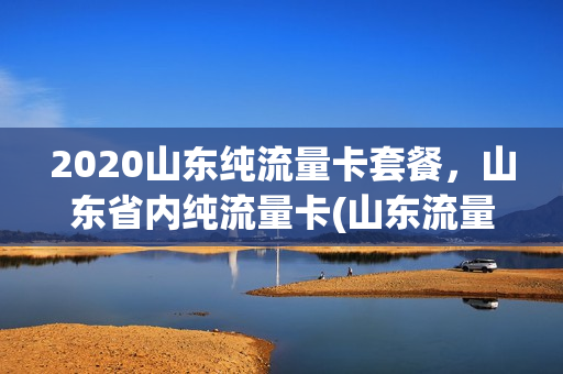 2020山东纯流量卡套餐，山东省内纯流量卡(山东流量套餐推荐)