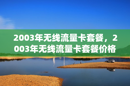 2003年无线流量卡套餐，2003年无线流量卡套餐价格(2003年有3g网络嘛)