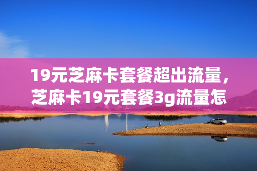 19元芝麻卡套餐超出流量，芝麻卡19元套餐3g流量怎么没有了(芝麻卡19套餐介绍这个合算吗)