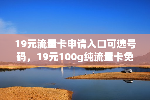 19元流量卡申请入口可选号码，19元100g纯流量卡免费申请(流量卡办理 19元)