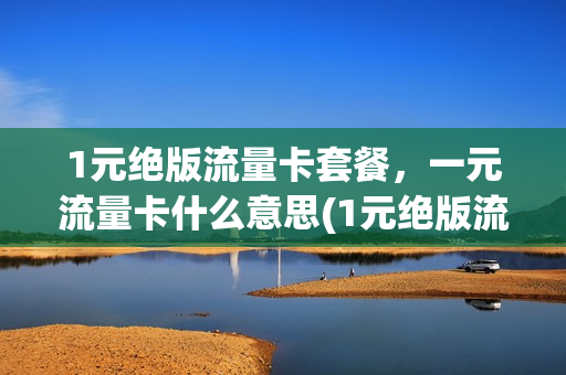 1元绝版流量卡套餐，一元流量卡什么意思(1元绝版流量卡套餐,一元流量卡什么意思呀)
