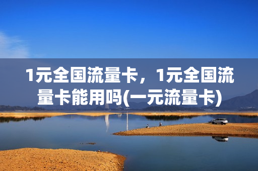 1元全国流量卡，1元全国流量卡能用吗(一元流量卡)