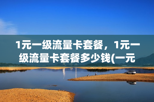 1元一级流量卡套餐，1元一级流量卡套餐多少钱(一元流量卡怎么收费)