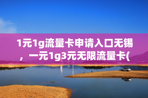 1元1g流量卡申请入口无锡，一元1g3元无限流量卡(一元无限用流量卡)