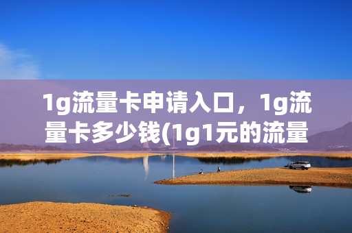 1g流量卡申请入口，1g流量卡多少钱(1g1元的流量卡)