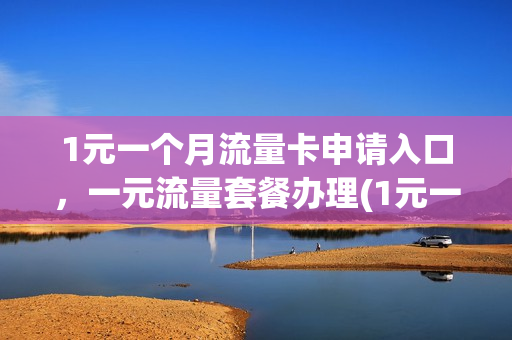 1元一个月流量卡申请入口，一元流量套餐办理(1元一个月流量卡申请入口,一元流量套餐办理要多久)