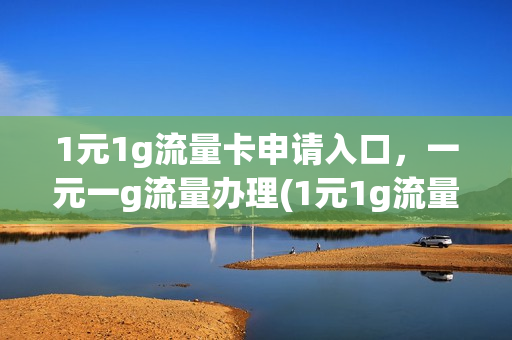 1元1g流量卡申请入口，一元一g流量办理(1元1g流量卡申请入口,一元一g流量办理是真的吗)