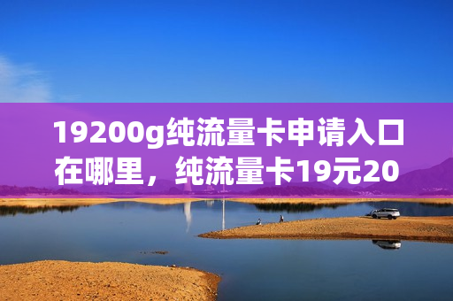 19200g纯流量卡申请入口在哪里，纯流量卡19元200g(流量卡19元200g官方办理申请)