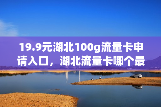 19.9元湖北100g流量卡申请入口，湖北流量卡哪个最划算(湖北纯流量卡)