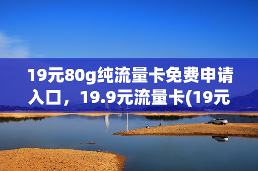 19元80g纯流量卡免费申请入口，19.9元流量卡(19元流量卡怎么交费)