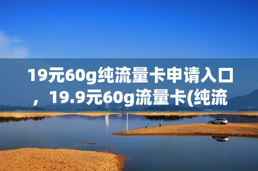 19元60g纯流量卡申请入口，19.9元60g流量卡(纯流量卡19元100g免费办理)