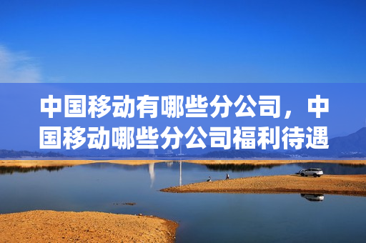 中国移动有哪些分公司，中国移动哪些分公司福利待遇好(中国移动的分公司)