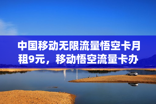 中国移动无限流量悟空卡月租9元，移动悟空流量卡办理(移动流量太空卡)