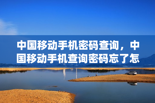 中国移动手机密码查询，中国移动手机查询密码忘了怎么办(中国移动 查询密码)