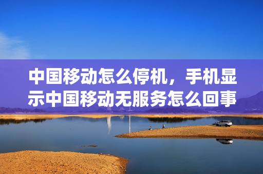 中国移动怎么停机，手机显示中国移动无服务怎么回事(移动卡停用显示无服务)