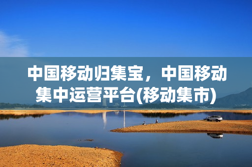 中国移动归集宝，中国移动集中运营平台(移动集市)