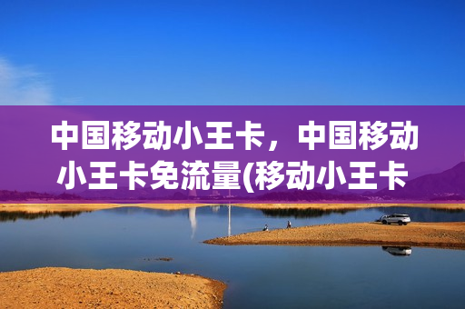 中国移动小王卡，中国移动小王卡免流量(移动小王卡套餐怎么办理)