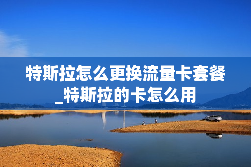 特斯拉怎么更换流量卡套餐_特斯拉的卡怎么用