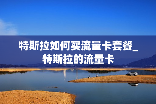 特斯拉如何买流量卡套餐_特斯拉的流量卡