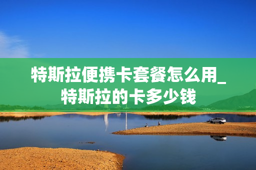 特斯拉便携卡套餐怎么用_特斯拉的卡多少钱