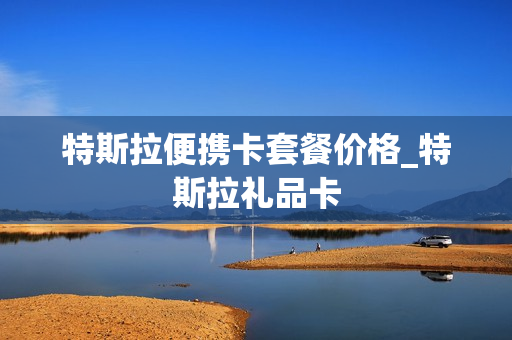 特斯拉便携卡套餐价格_特斯拉礼品卡