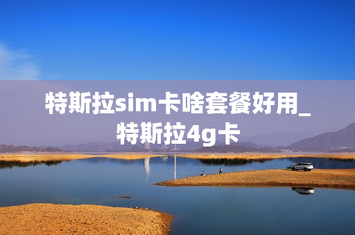 特斯拉sim卡啥套餐好用_特斯拉4g卡