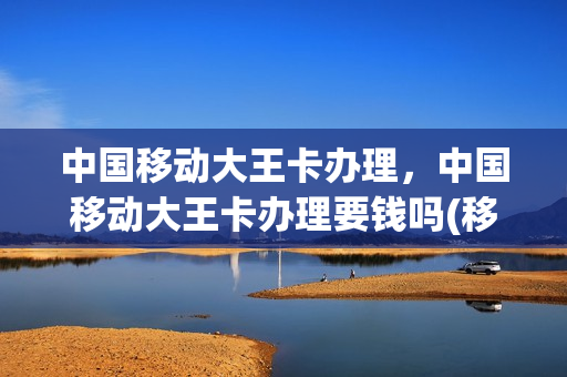 中国移动大王卡办理，中国移动大王卡办理要钱吗(移动大王卡办理流程)