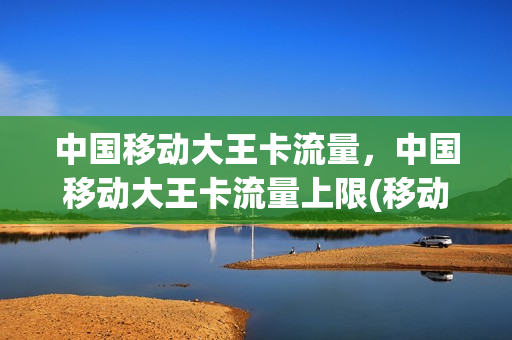 中国移动大王卡流量，中国移动大王卡流量上限(移动大王卡流量收费标准)