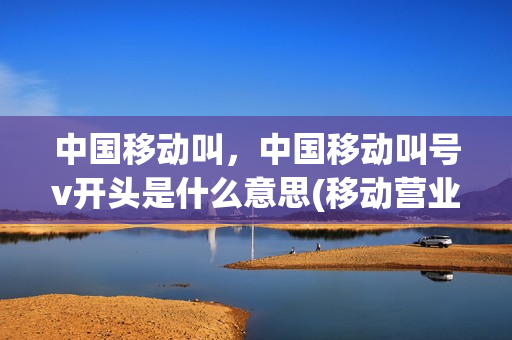 中国移动叫，中国移动叫号v开头是什么意思(移动营业厅排号v开头的是vip号吗)